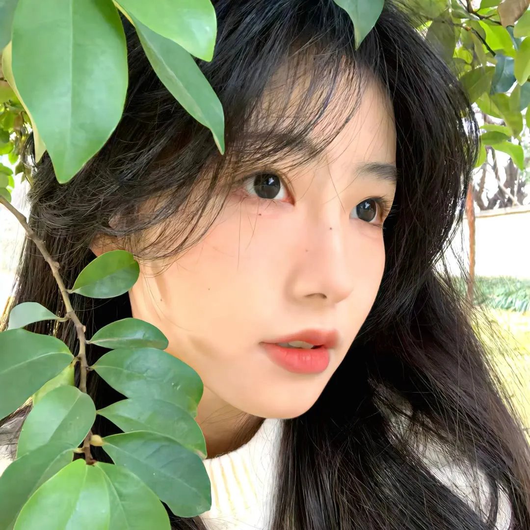 马戏春心
